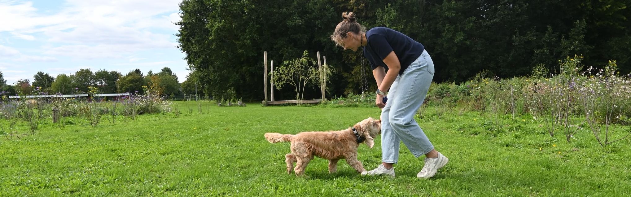 Wandeling met twee honden langs een graanveld